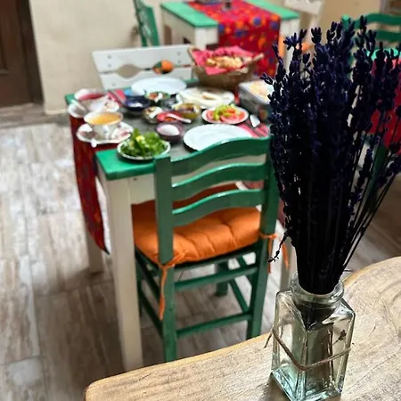 Nazımaki Ayvalı